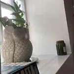 Olive House