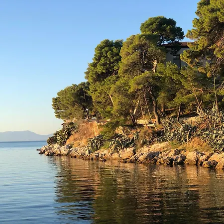 Olive House * Skiathos by
