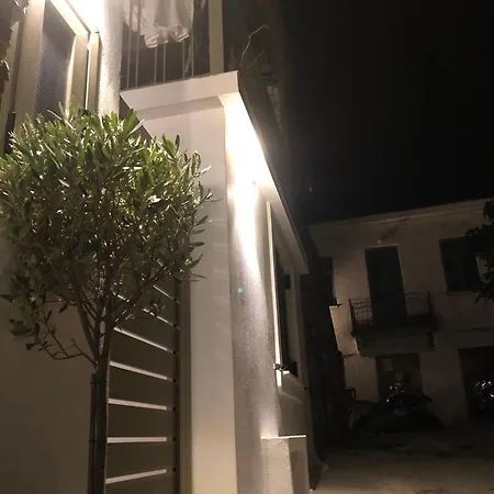 Olive House *