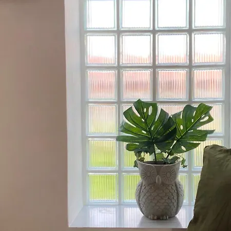 Olive House Ferienhaus Skiathos-Stadt