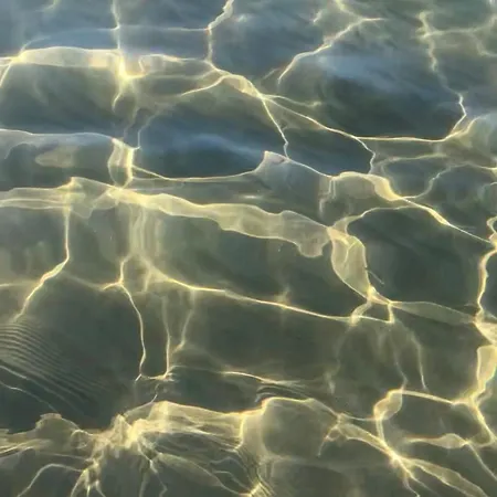 Olive House Ferienhaus