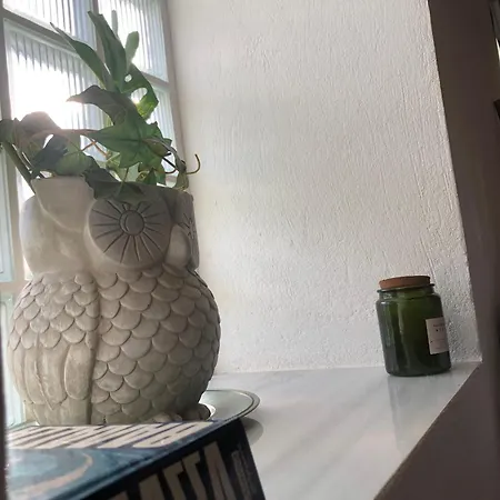 Olive House