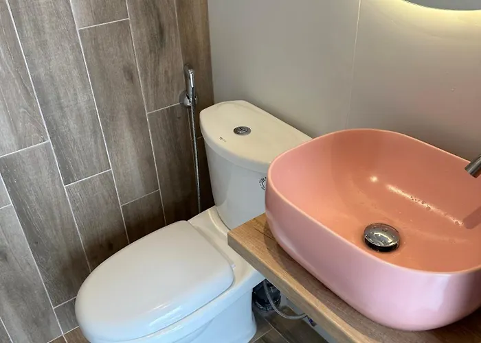 Case de vacanță Olive House