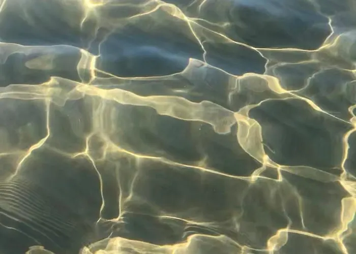 Olive House Holiday home