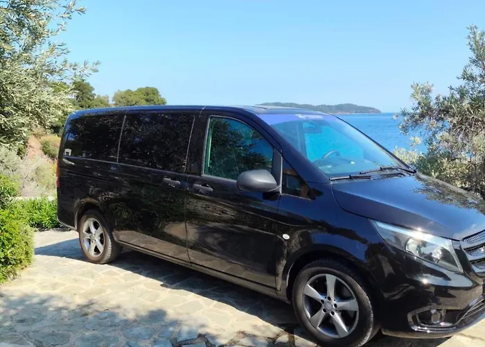 Olive House Holiday home