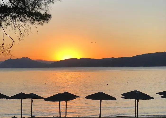 펜션 Olive House *